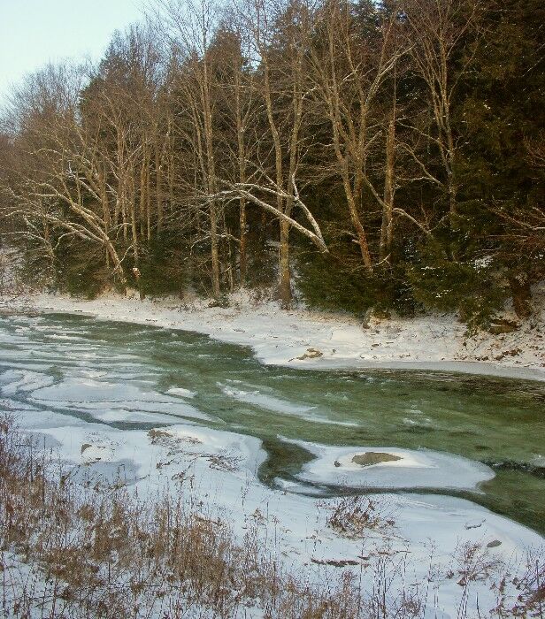 Click to See Next Image